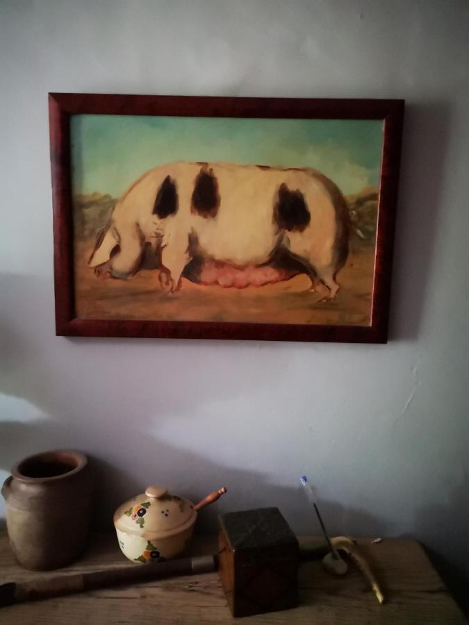 Mule Bed and Breakfast Lagardere Buitenkant foto